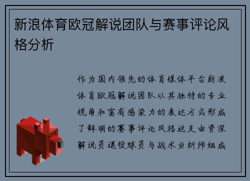 新浪体育欧冠解说团队与赛事评论风格分析